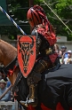 SFaire_2013 (216)